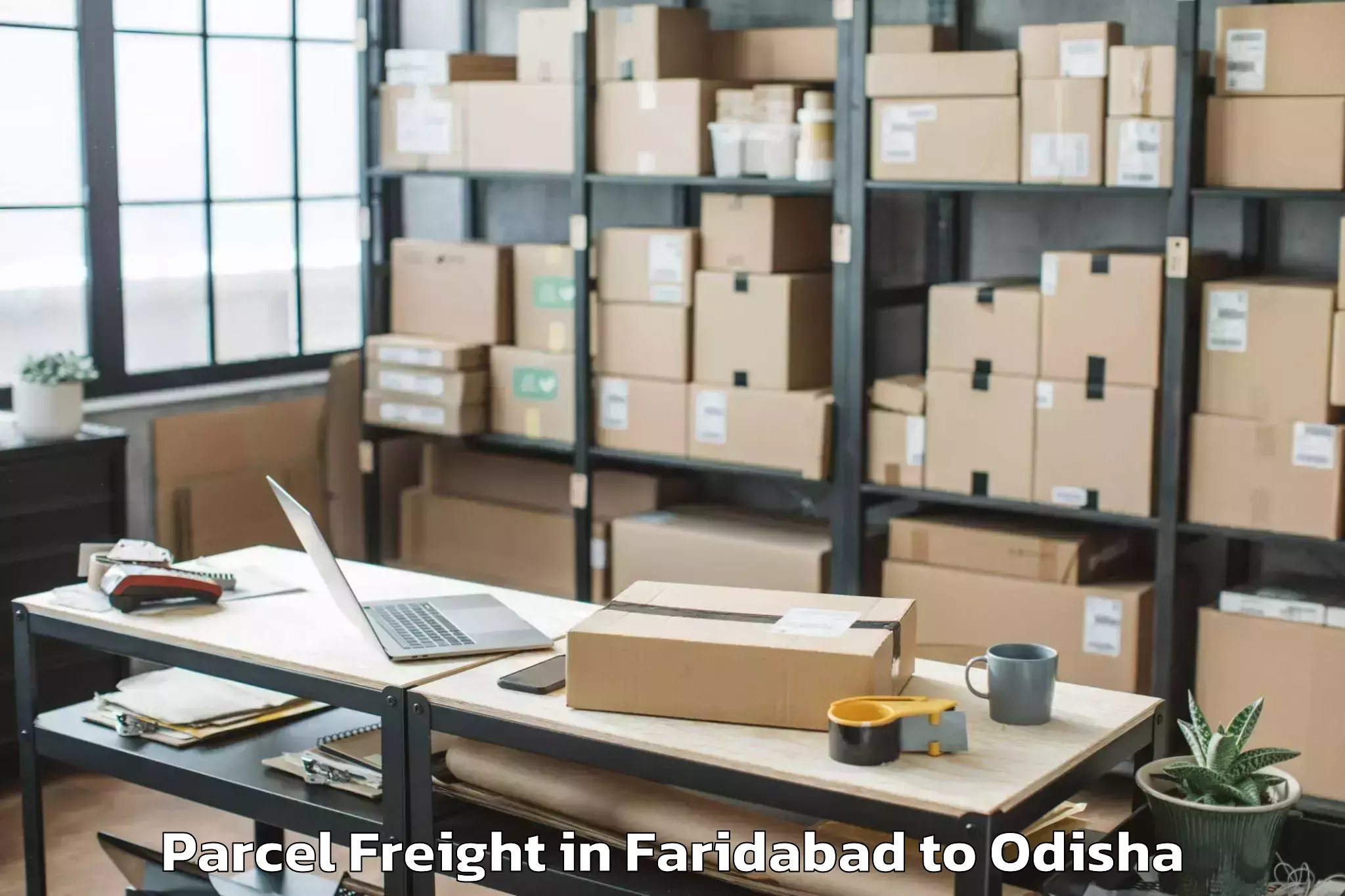 Top Faridabad to Puri Parcel Freight Available